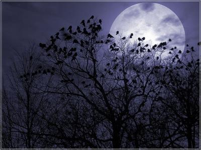 20070822111700-moon.jpg
