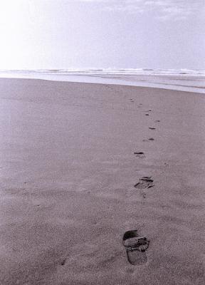20070903022703-playa.jpg